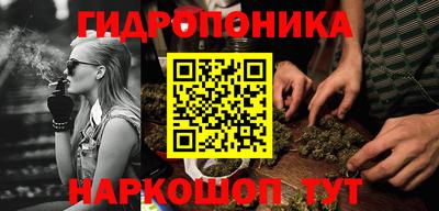 бошки Будённовск