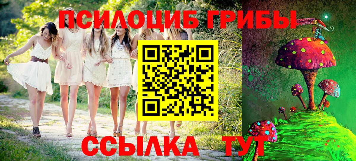 Галлюциногенные грибы прущие грибы Чайковский