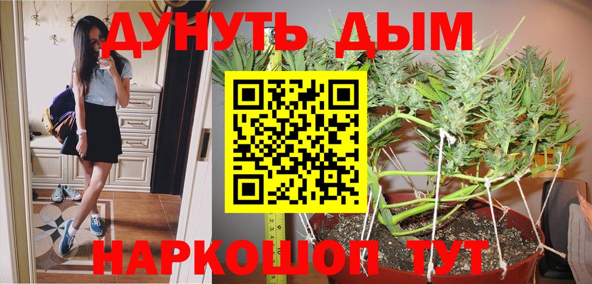 Марихуана план  Бошки марихуана планчик  Вход с VPN  Чайковский 